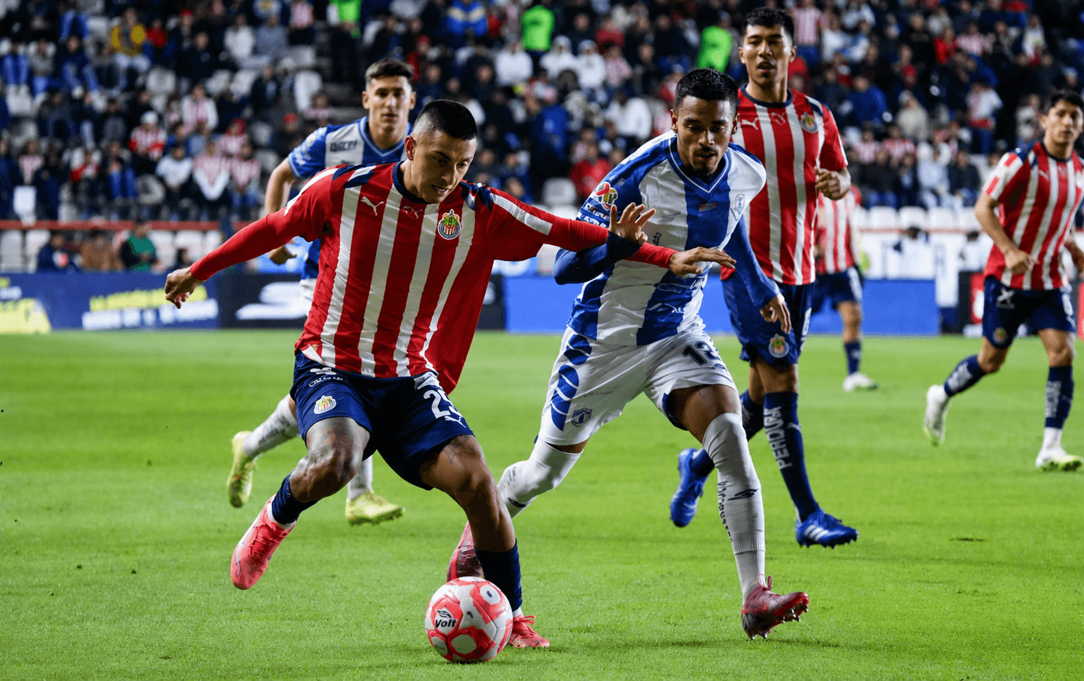 Pachuca vs Chivas: previa completa, historial y pronóstico